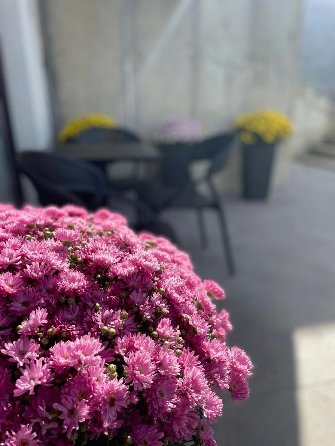 Residence 33 Σαράγεβο Εξωτερικό φωτογραφία